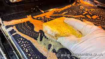 Ditch expensive oven cleaners for 1 alternative that removes grease fast