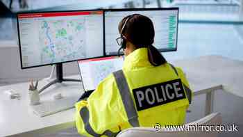 Police's most ridiculous calls including complaint about pizza to be stamped out by AI