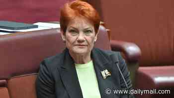 Pauline Hanson reveals her bold plan to make cigarettes cheaper in Australia: 'Labor's policy is failing'
