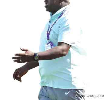 Embattled NFF sacks Falcons technical crew