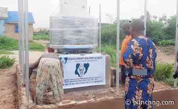 11-month blackout: IBEDC restores power to Ogun communities after PUNCH report