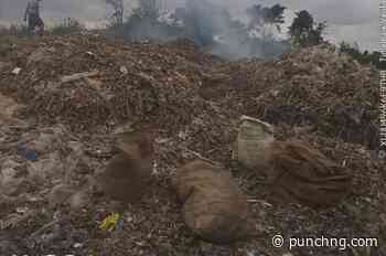Ogun seals company for illegal dumping, waste burning