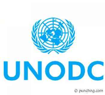 UN, NSCDC move against terror funding, Illegal mining