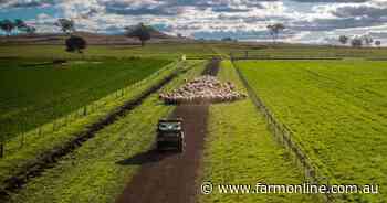 Mentone a quality farming, grazing enterprise in a prime location | Photos