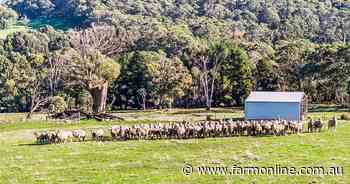 Two 100-acre Euroa farming blocks sell quickly in the North East