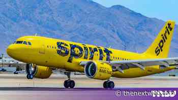 Google picked and paid for the firm anonymising the Spirit Airlines data