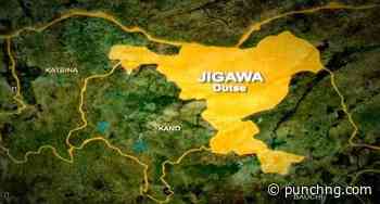 Stakeholders strengthen Jigawa fight against sexual violence