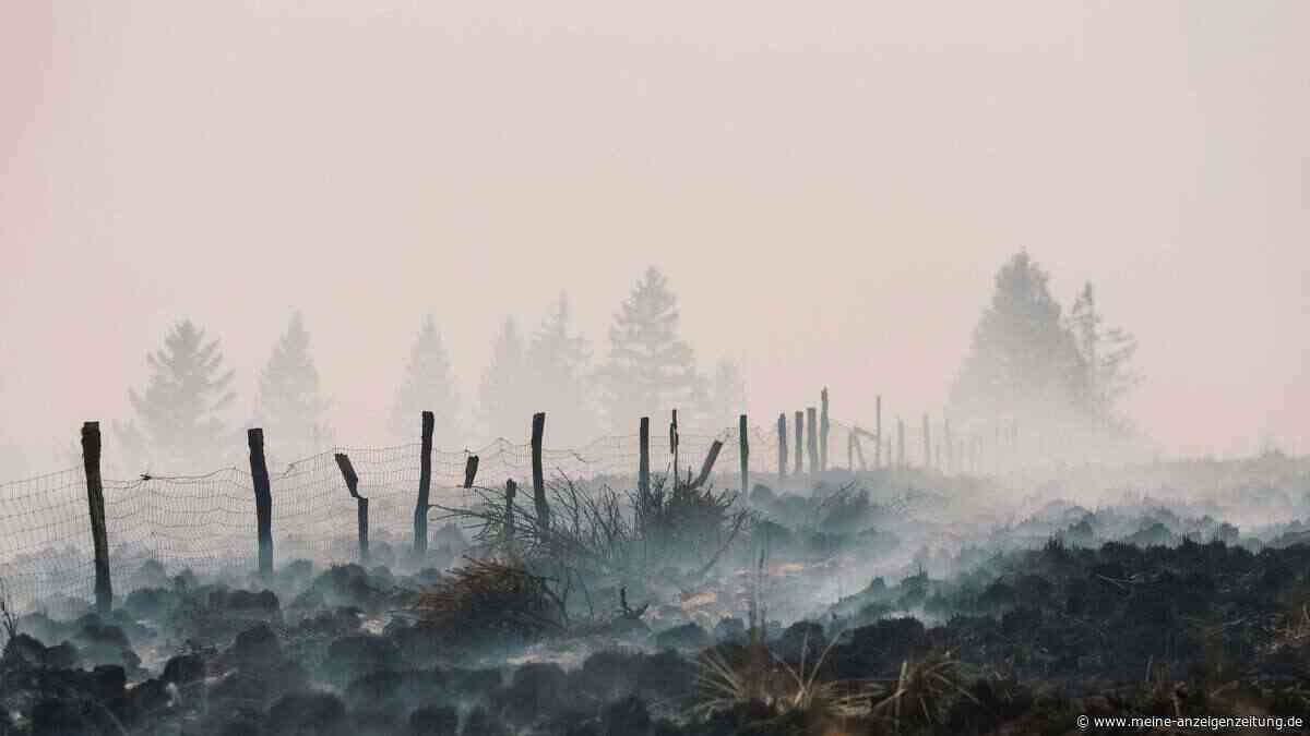 Waldbrand im Hohen Venn bleibt „unberechenbar“
