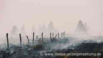 Waldbrand im Hohen Venn bleibt „unberechenbar“