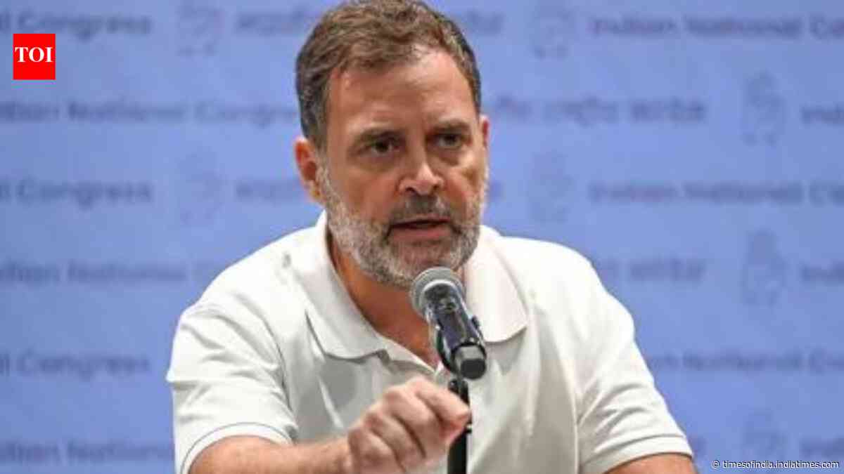 Supreme Court bars CBI, ED from filing report on Rahul Gandhi's assets