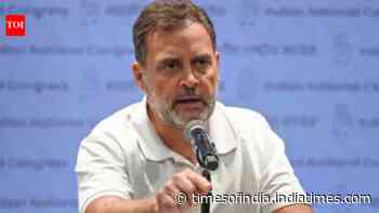 Supreme Court bars CBI, ED from filing report on Rahul Gandhi's assets