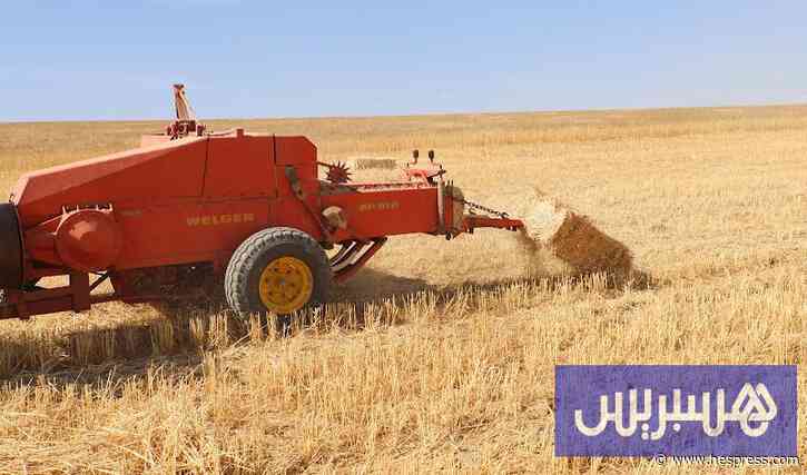 "الصمايم" تختبر صمود الفلاحة المغربية أمام &#