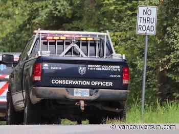 Man bitten by black bear in second recent Metro Vancouver attack