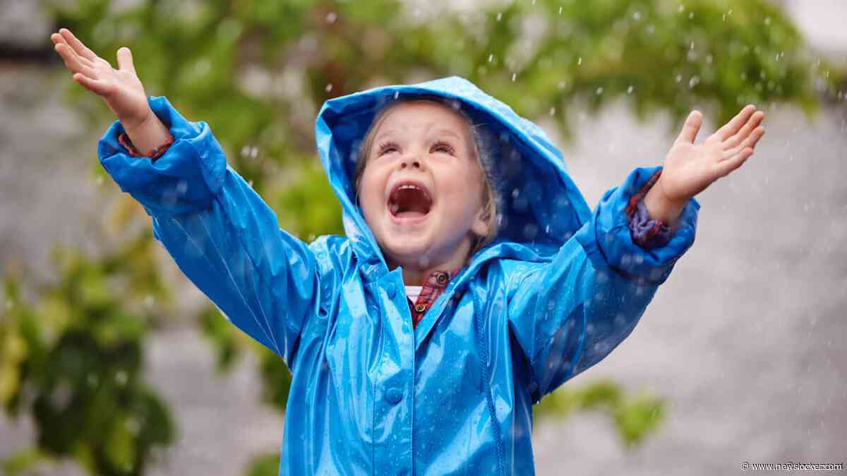 Regen van afgelopen dagen verhelpt droogte niet, extra maatregelen niet uitgesloten