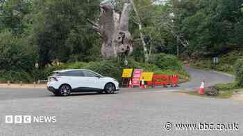 Drivers ignoring road closures near New Forest wildfire