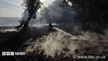 Public urged to avoid 'surrounded' New Forest fire site