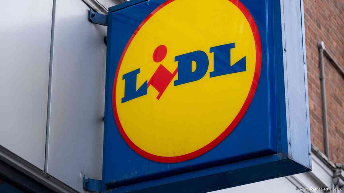 'Space-saving and comfortable’ new £15 Lidl furniture item coming out on Thursday
