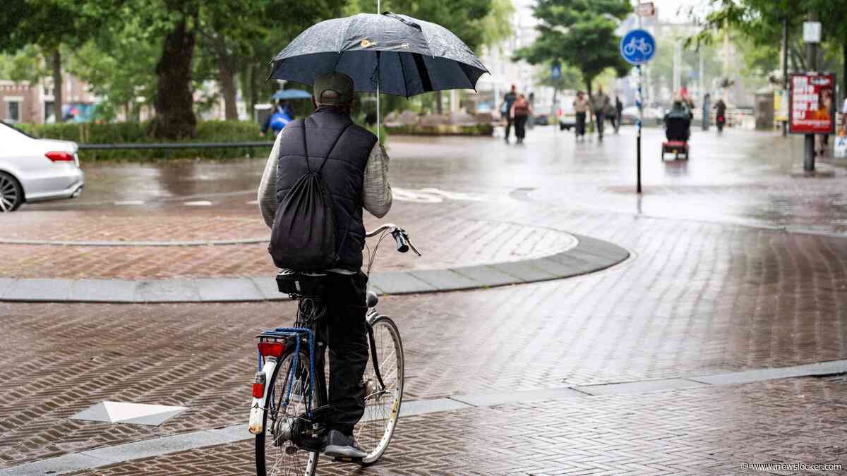 Regenachtige dag, maar met beetje geluk komt zon nog tevoorschijn