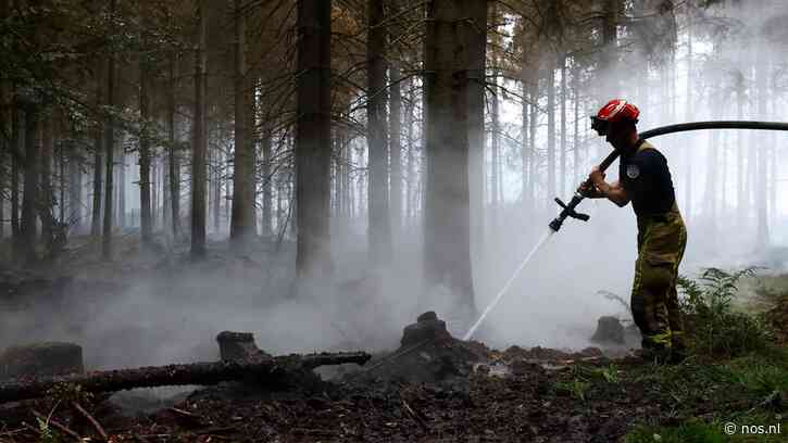 Veenbrand in de Ardennen nog niet onder controle, koning Filip bezoekt gebied