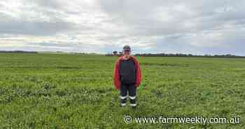 'Those are your money months': grain producers face worrying conditions