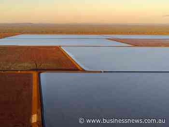 BCI Minerals to build sulphate pilot plant