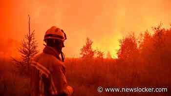 LIVE | Moeilijke nacht voor brandweer bij bestrijden natuurbrand België