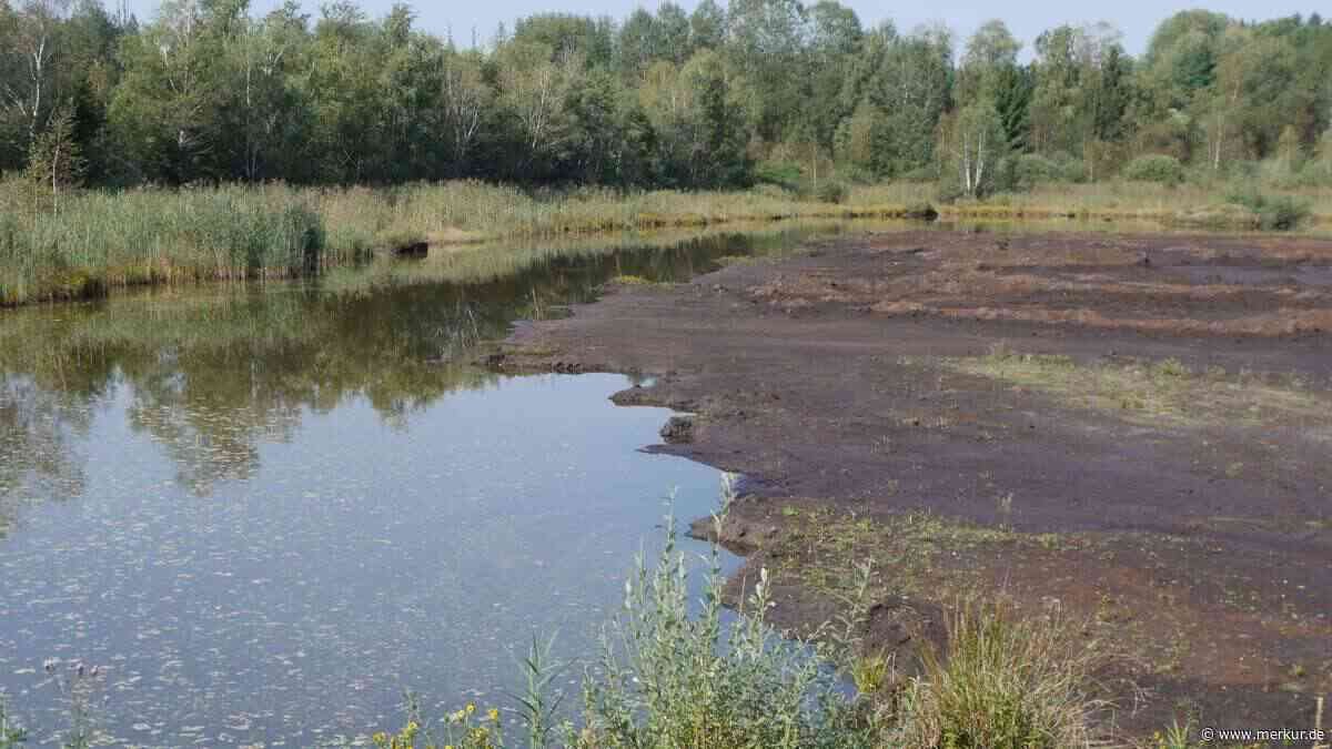 Wiedervernässung im Weilheimer Moos: 134 Nutzer sollen einbezogen werden