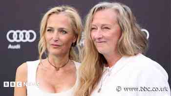 Gillian Anderson felt 'betrayed' by The Salt Path allegations after appearing in adaption