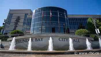Thunder Bay, Ont., city council enters 'lame duck' period next week ahead of fall election