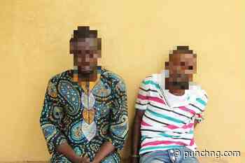 Police arrest two suspected ‘one-chance’ robbers in Ogun
