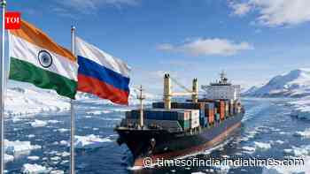 Northern Sea Route in focus: India eyes first cargo ship along Arctic Route to Russia - why it matters