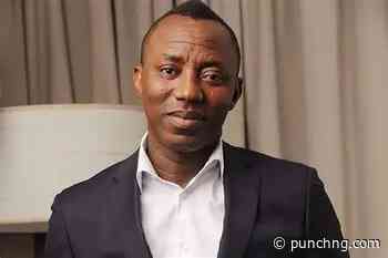 Stop destroying cannabis farms, wasting economic opportunities, Sowore tells NDLEA