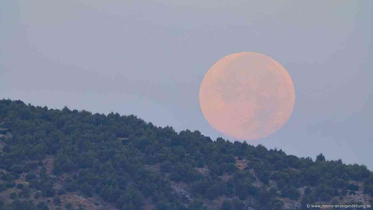 Partielle Mondfinsternis im August: Wer sie sehen will, muss früh raus und nach Westen schauen