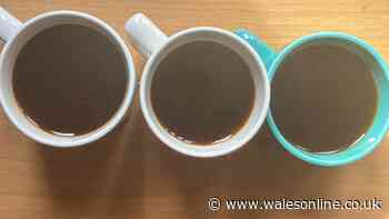 I compared instant coffees from Sainsbury's, Morrisons and Co-op against Costa