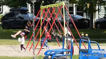 Fredericton's 130-year-old Wilmot Park to get revamped improvement plan