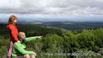 Diese fünf Wanderwege sollen sich im Pfälzerwald besonders lohnen