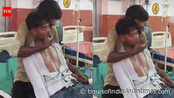 UP man bitten by venomous snake, brother slaps him 150 times to keep him alive