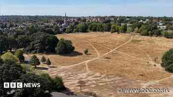 What are the Royal Parks doing to cut the risk of grassfires?