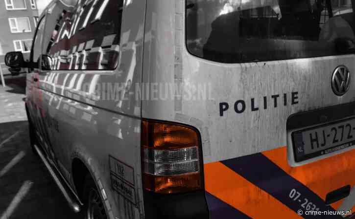 Man met zaag loopt op agent af en wordt aangehouden met getrokken vuurwapen