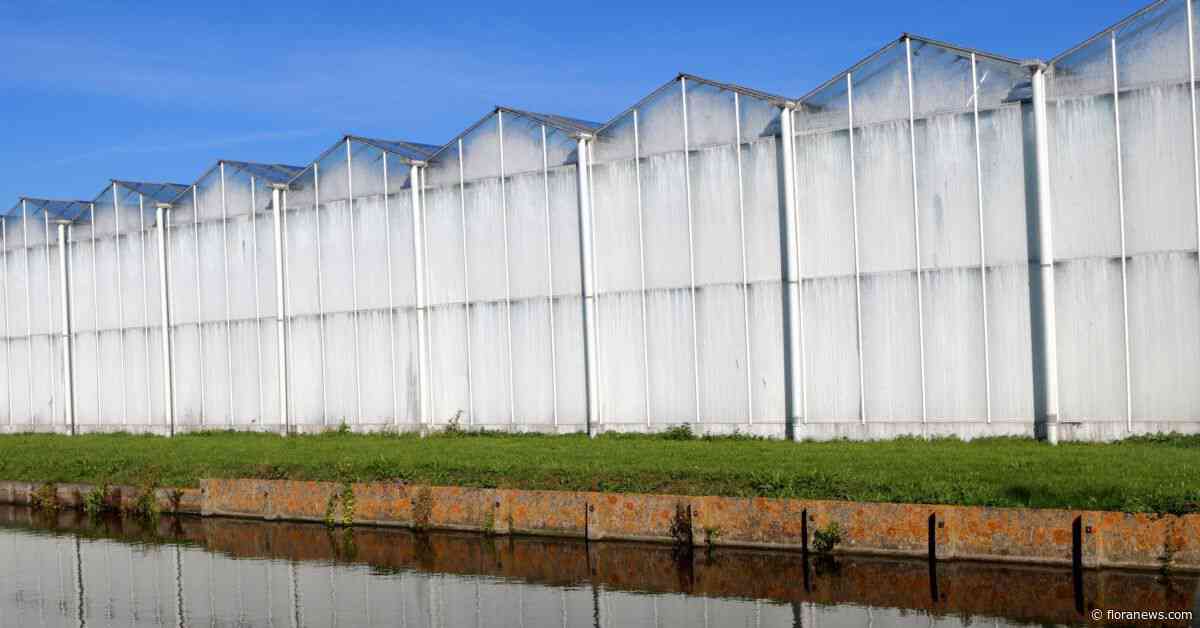 Delfland versoepelt onttrekkingsverbod tijdelijk voor glastuinbouw