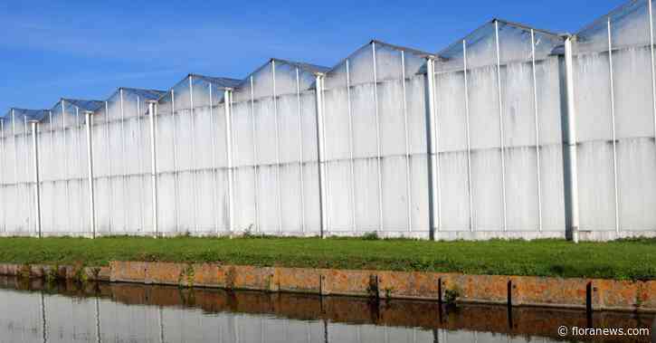 Delfland versoepelt onttrekkingsverbod tijdelijk voor glastuinbouw