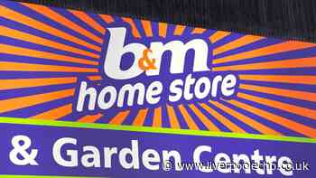 'Add glamour to homes' with B&M's 'luxury' £25 'Avant Garde' wall item