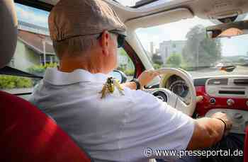 Wespe im Auto: Ruhe bewahren - und was im Schadenfall gilt