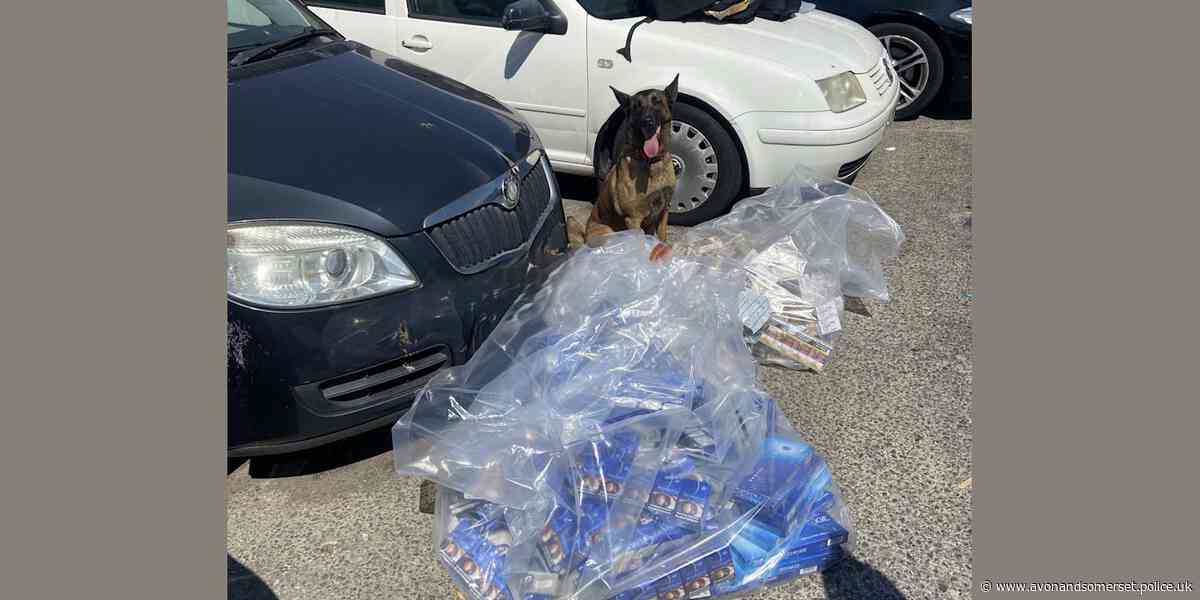 Operation clamps down on illegal tobacco trade