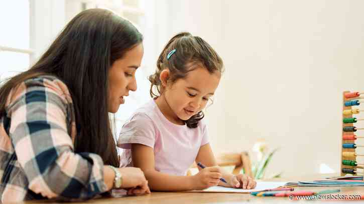 Praat mee: Schiet het Nederlandse onderwijs tekort als zoveel kinderen bijles nodig hebben?