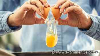 One dead hundreds ill in UK salmonella outbreak linked to eggs