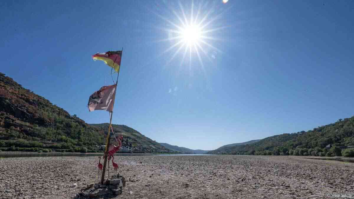 Hitze, Dürre und hohe Kosten: Ernte 2026 bricht ein und bringt Bauern in bittere Notlage