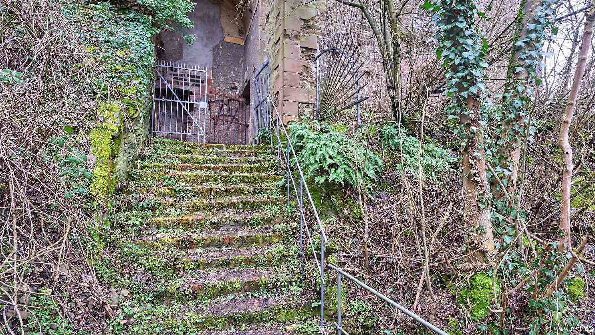 Brutaler Mord vor 30 Jahren: Zum Prozessauftakt fünf Fakten im Fall Amy Lopez