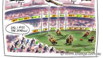 Canberra, you have a (gambling) problem