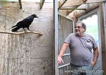 This community takes injured wildlife into their homes